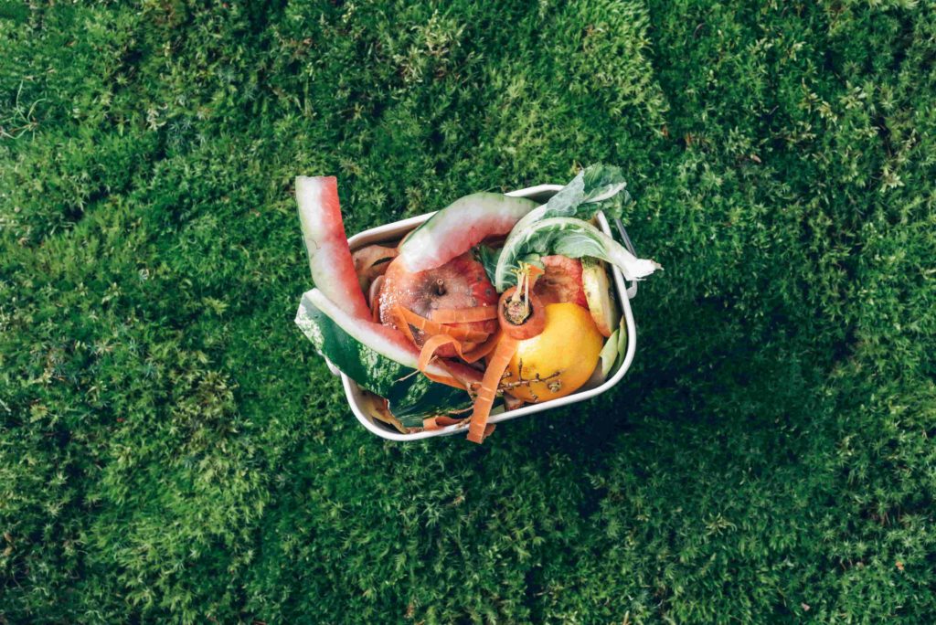 對食物浪費說不 對食物浪費說不