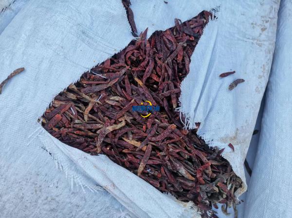 案例|某公司海關(guān)產(chǎn)品銷(xiāo)毀 案例|某公司海關(guān)產(chǎn)品銷(xiāo)毀