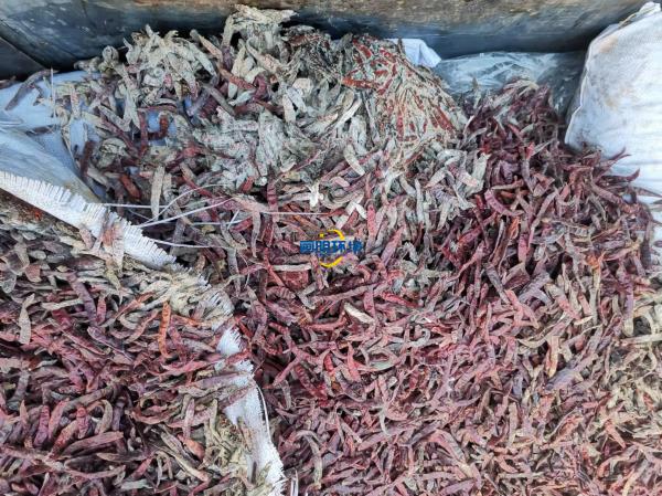 案例|某公司海關(guān)產(chǎn)品銷(xiāo)毀 案例|某公司海關(guān)產(chǎn)品銷(xiāo)毀